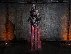 Iron Maiden
